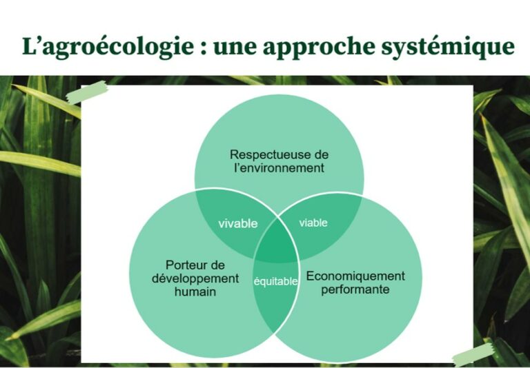 agroécologie une approche systémique