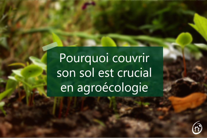 pourquoi couvrir son sol en agroécologie