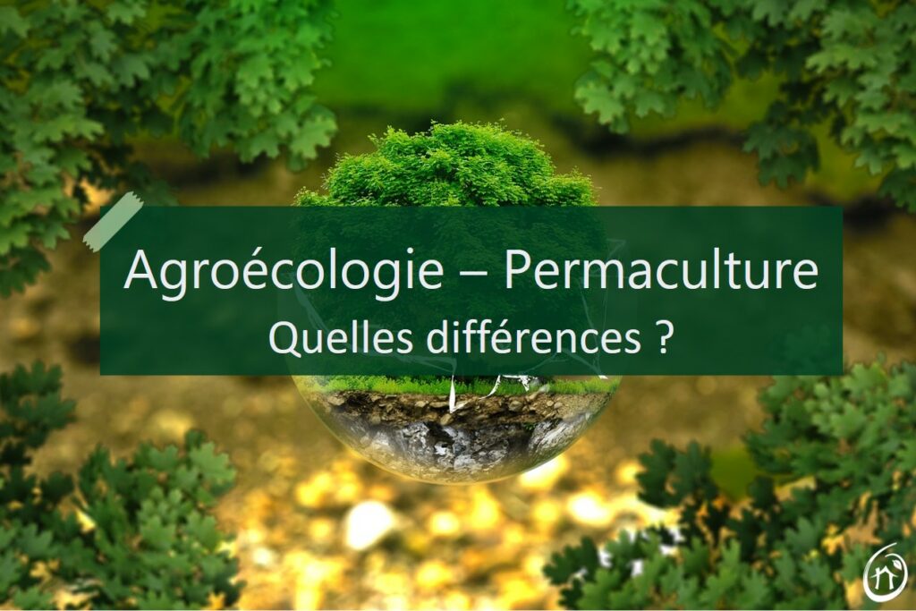 La Permaculture et l’Agroécologie : Comprendre les Différences