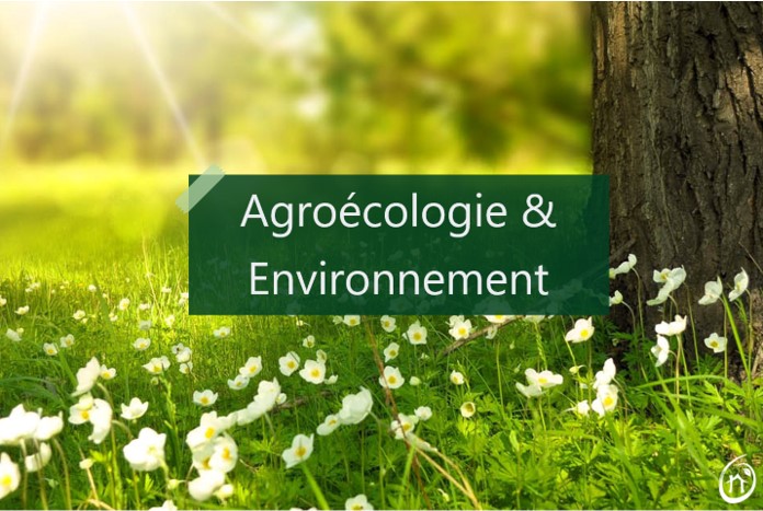 agroecologie environnement