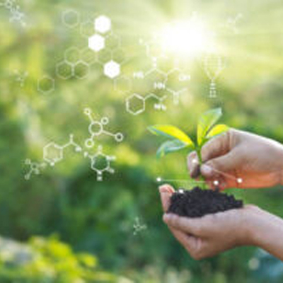 recherche breizh oasis plant