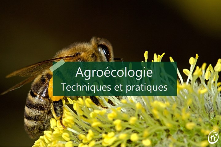 Techniques d'Agroécologie: Un guide pratique pour les agriculteurs et les jardiniers