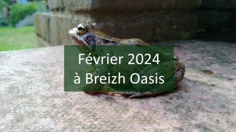 février 2024 breizh oasis