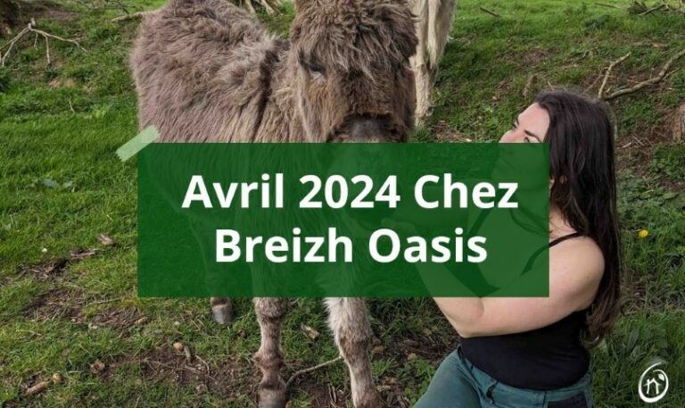avril 2024 chez breizh oasis