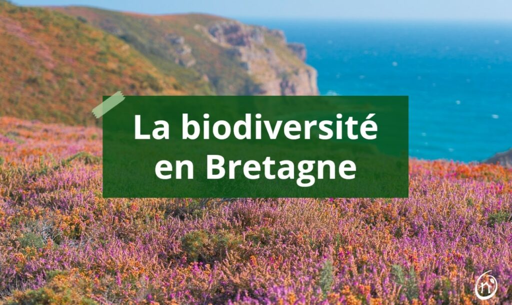 biodiversite bretagne (Moyenne)