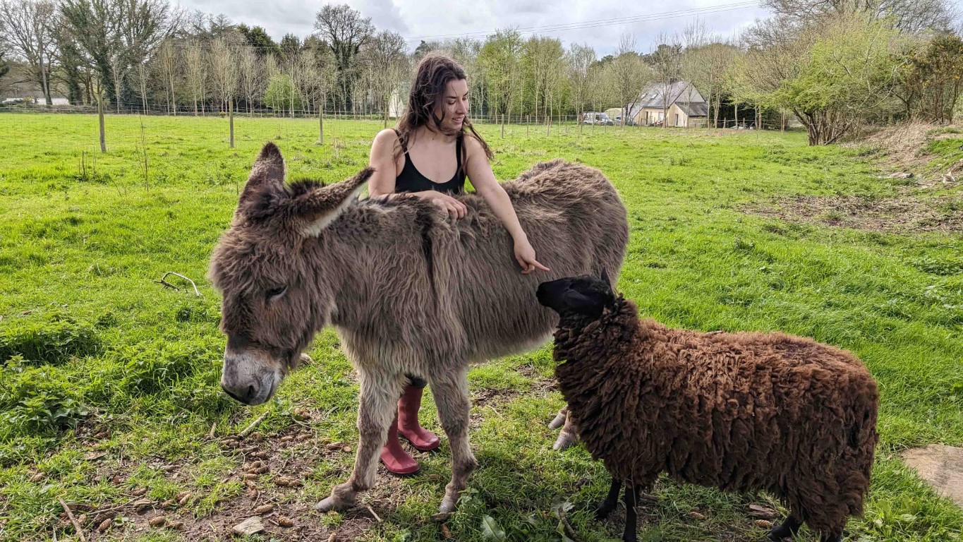 morgane lebosq breizh oasis agroecologie (Moyenne)