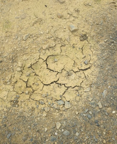 réhabiliter un sol dégradé