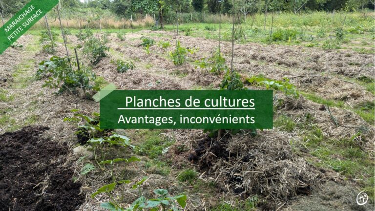 planches de culture avantages inconvenients