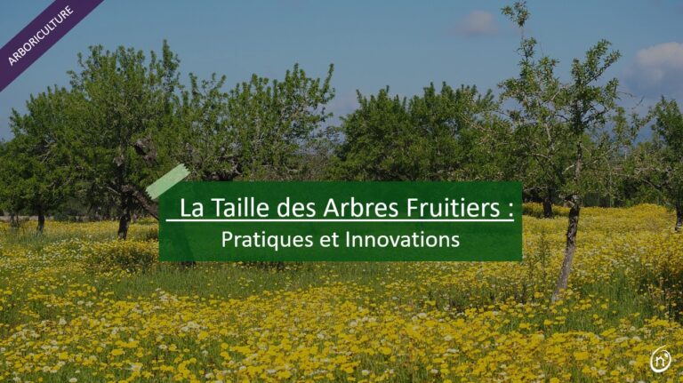 taille arbre fruitiers pratique innovation