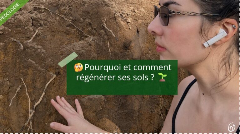 pourquoi et comment régéner ses sols