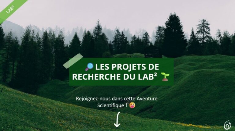 projet de recherche du lab (Petite)