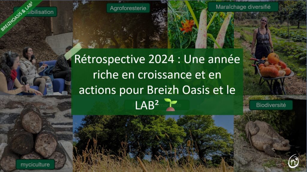 Rétrospective 2024 Une année riche en croissance et en actions pour Breizh Oasis et le LAB²