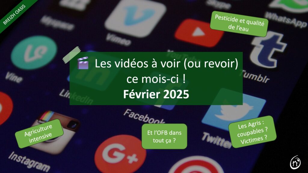 breizhoasis video mois février 2025