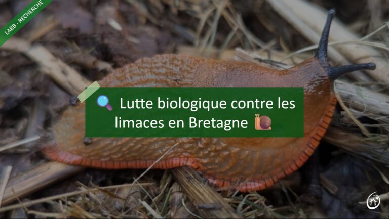 recherche lutte biologique limace escargot