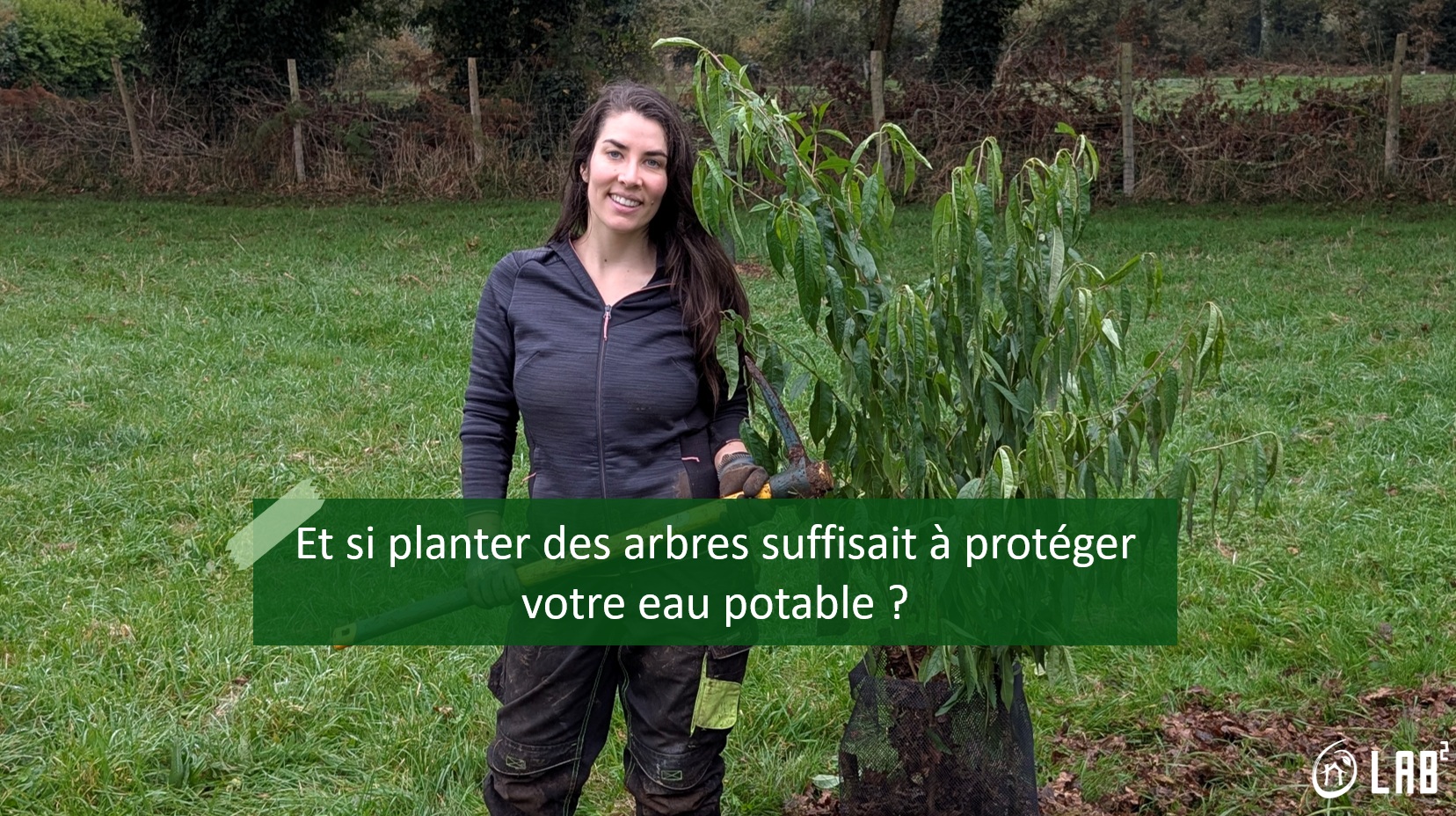 planterarbreeaupotable