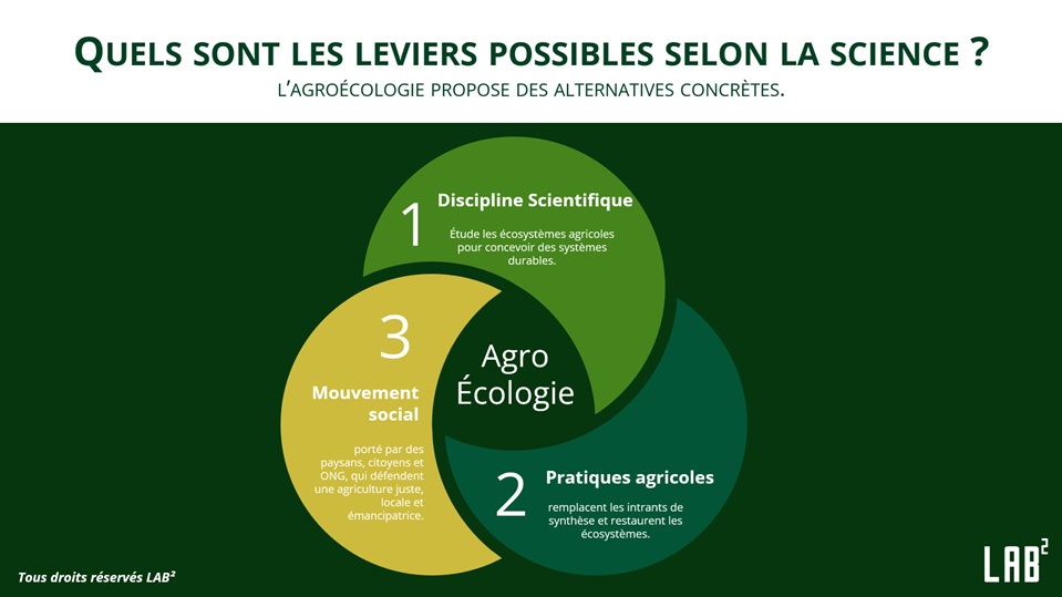 agroecologie breizh oasis labb