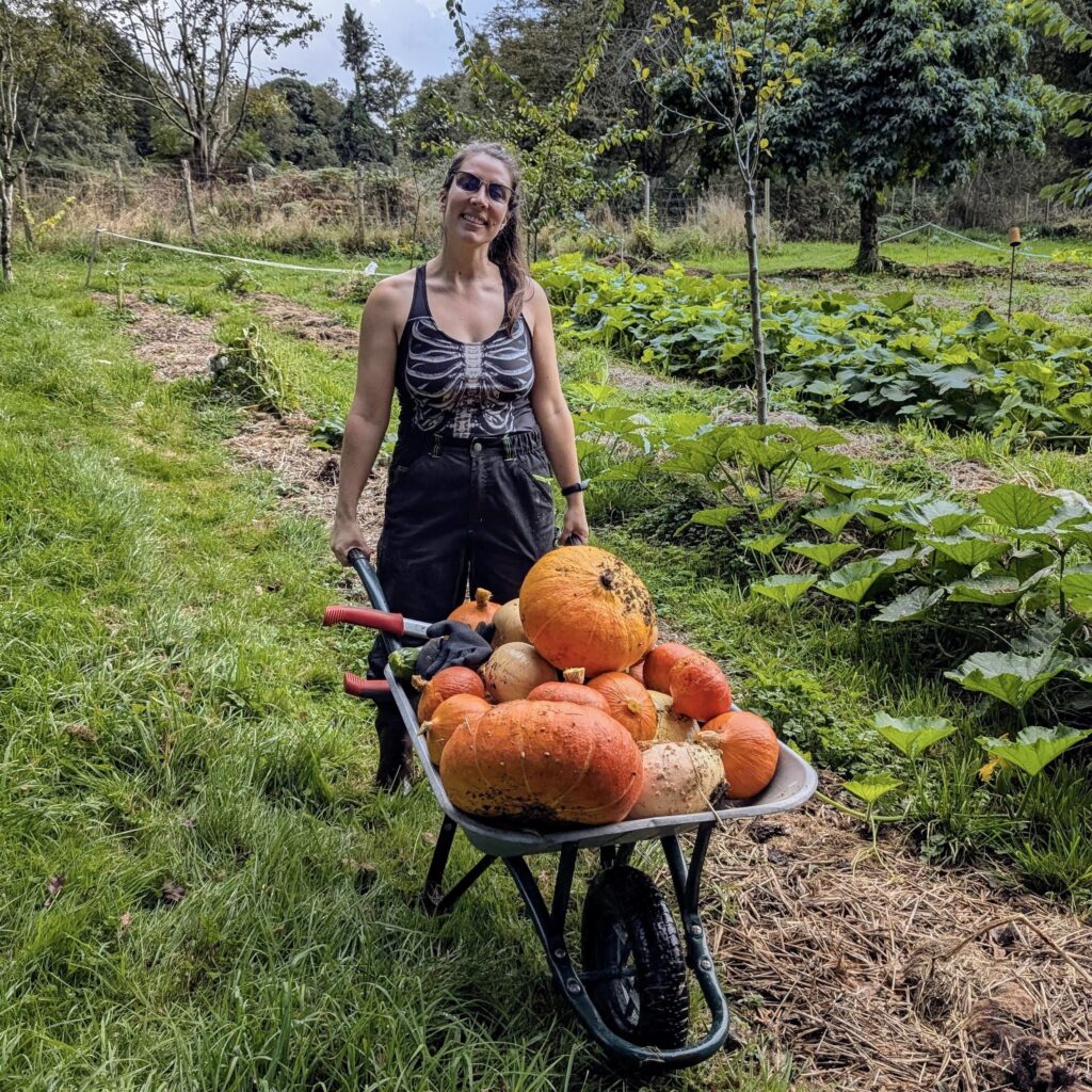 breizhoasis morgane lebosq maraichage