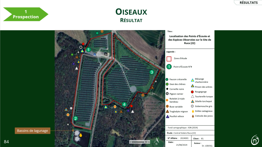 suivi avifaune
