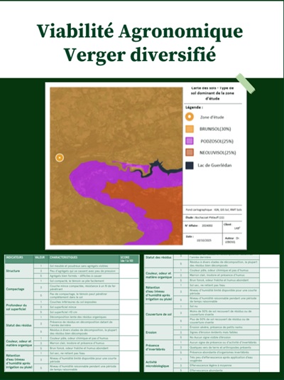 viabilité agronomique verger