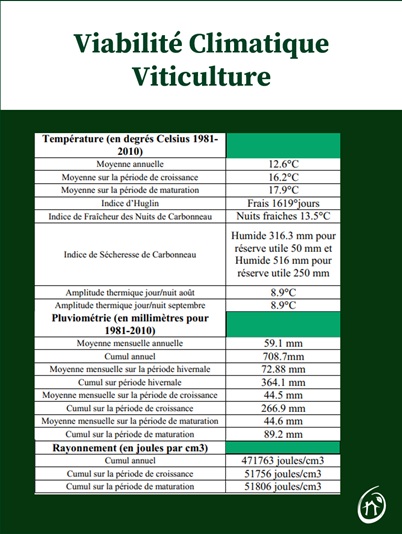 viabilité climatique viticulture