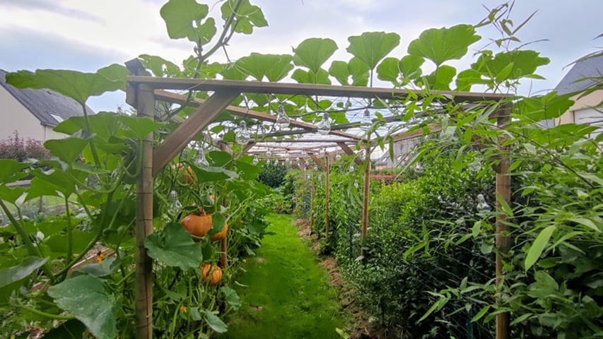 Conception d’un système polyculture-élevage  adapté à un espace contraint