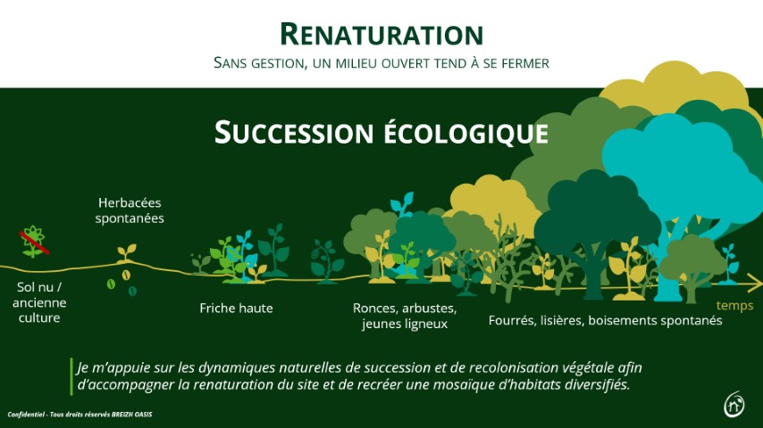 renaturation friche jachère