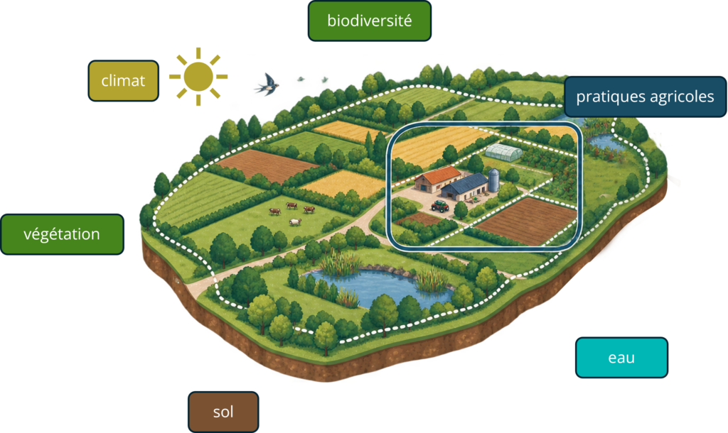agroecosystème