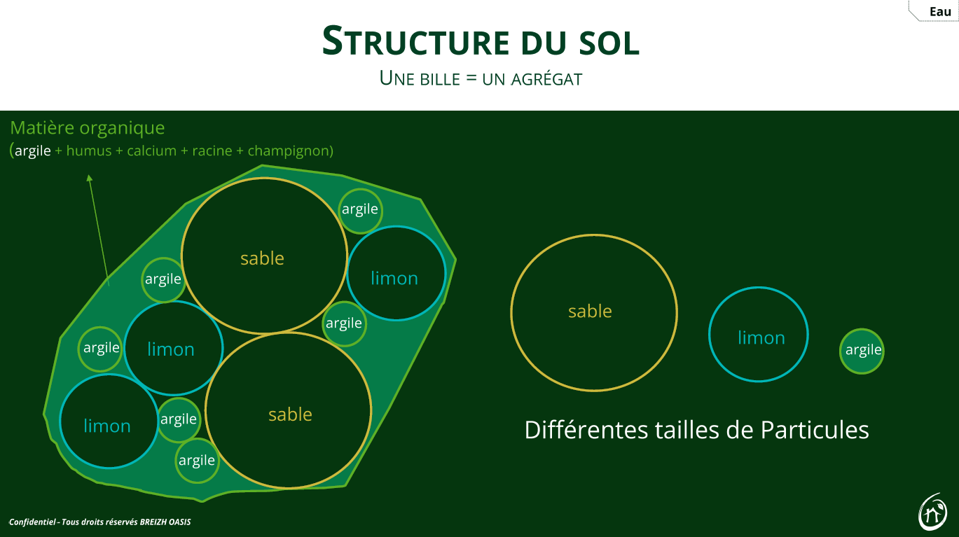 Formation : Le sol : comprendre son fonctionnement